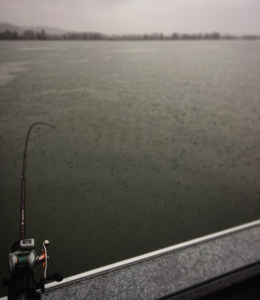 United State] Steelhead Fishing the Pacific Northwest