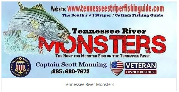 United State] Striped Bass Fishing the Tennessee River