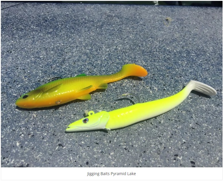 United State] Jigging for Monster Cutthroat Trout on Pyramid Lake